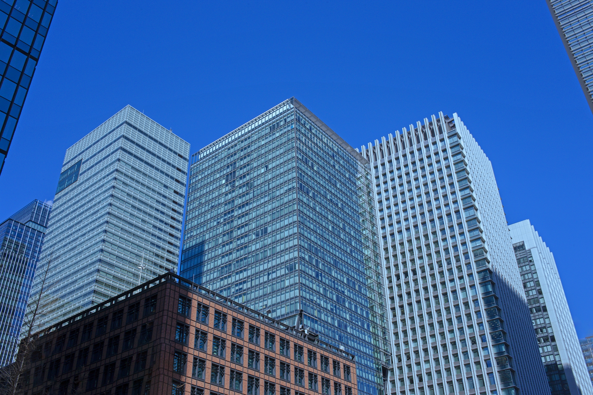都会で会社の高層ビルが並んでいる写真